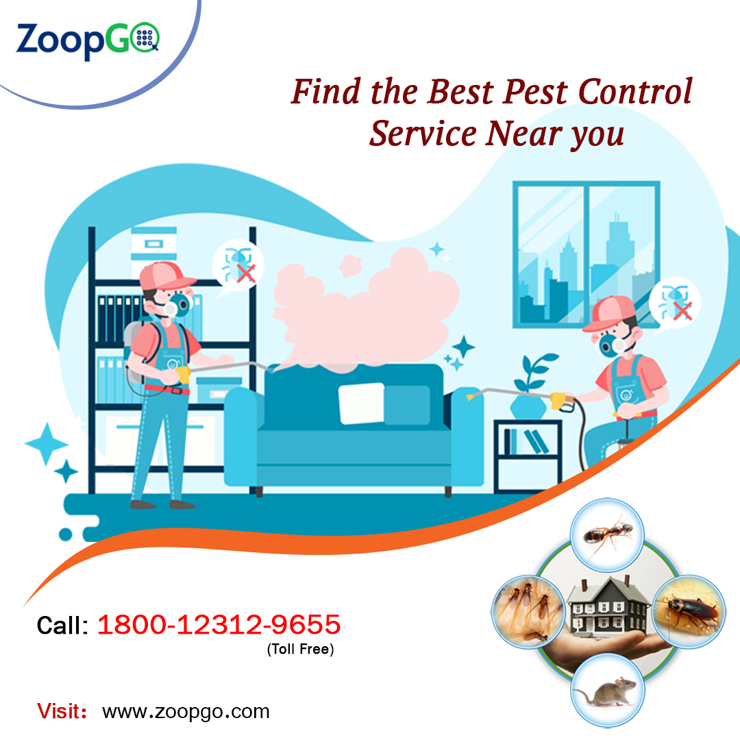 Pest control in Delhi 