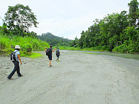 Birding and nature walk tour in West Papua