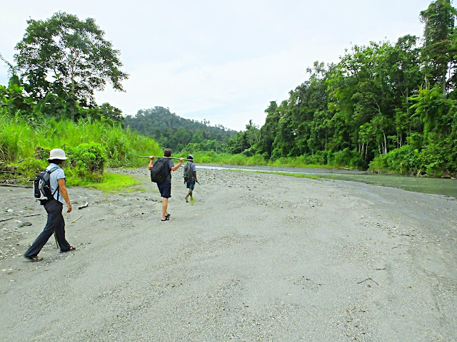 Birding and nature walk tour in West Papua