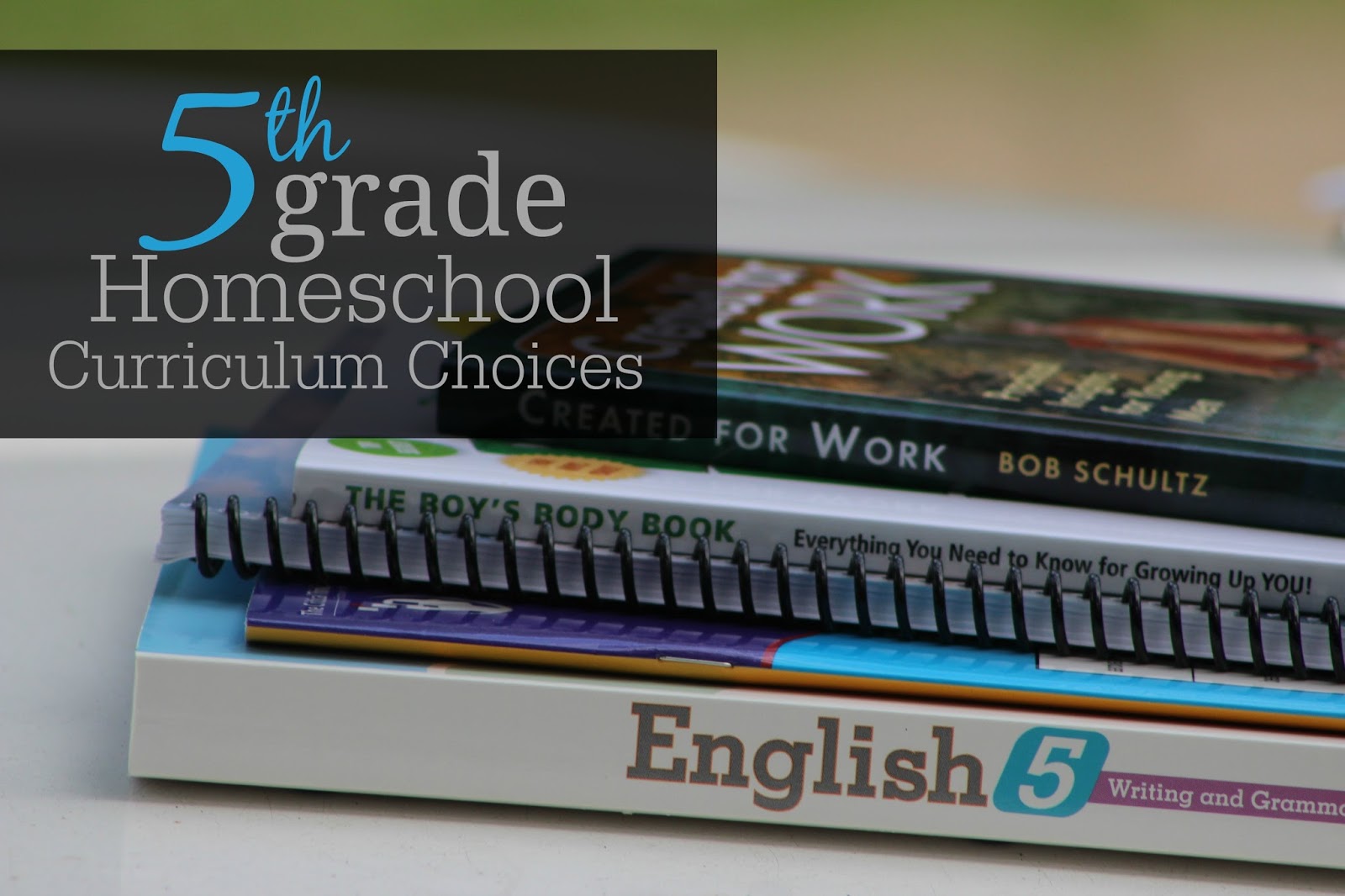 The Unlikely Homeschool 5th Grade Homeschool Curriculum Choices