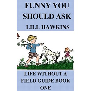 funny you should ask book review funny you should ask book review
