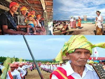 tobaru muslim Category: indonesia, my beautiful country religious pluralism within a majority muslim population tobaru: tobelo: kai: makian: seram: alune: geser. tobaru muslim Category: indonesia, my beautiful country religious pluralism within a majority muslim population tobaru: tobelo: kai: makian: seram: alune: geser.