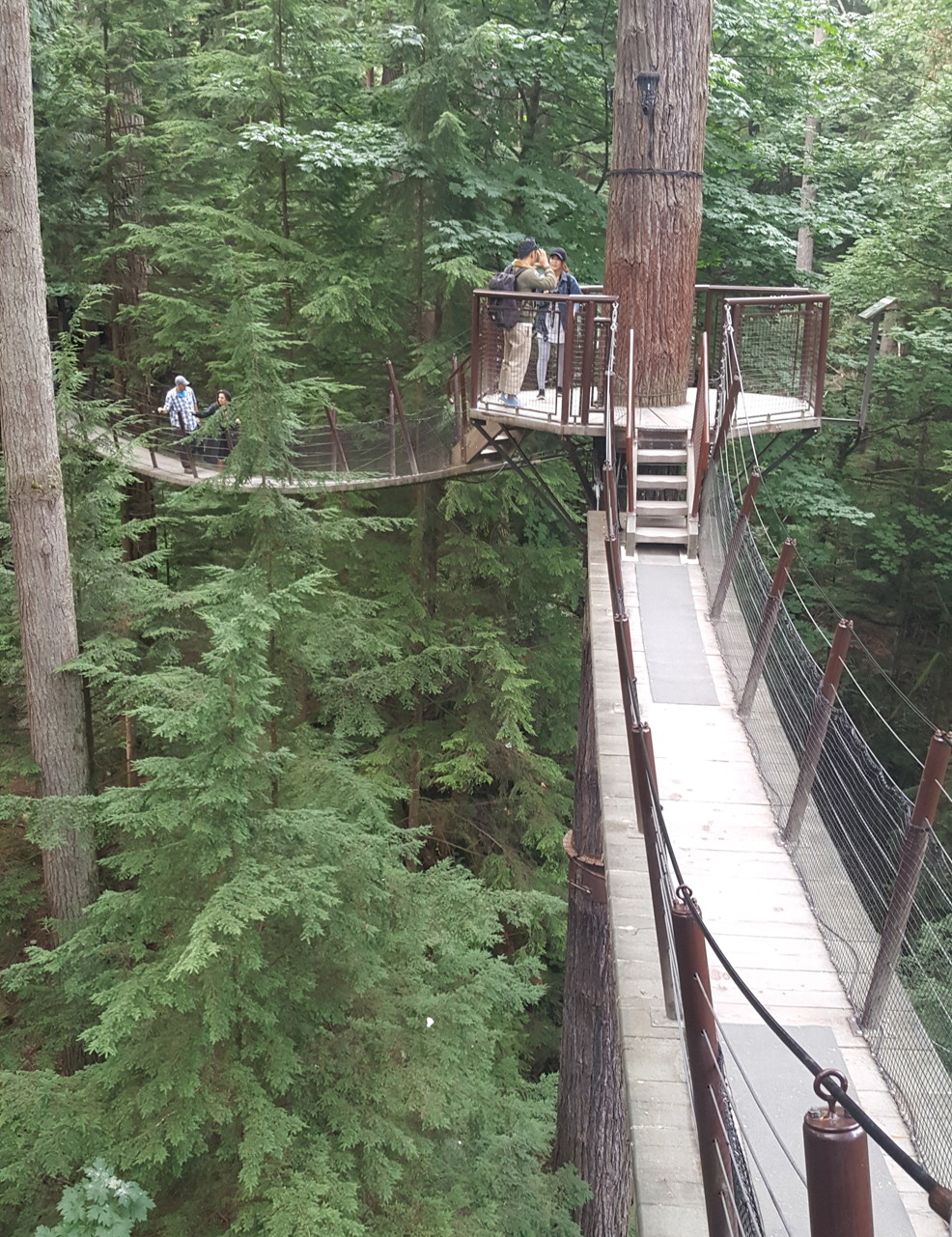 Capilano Suspension Bridge Tree Top Adventure
