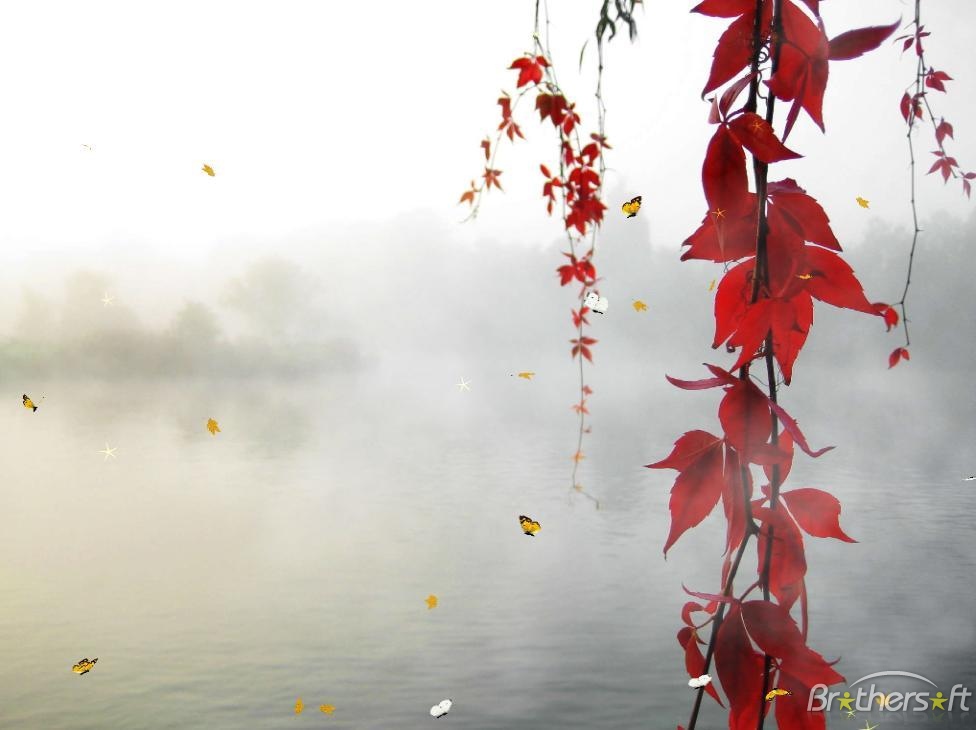 Nature Screensavers  For Windows 7