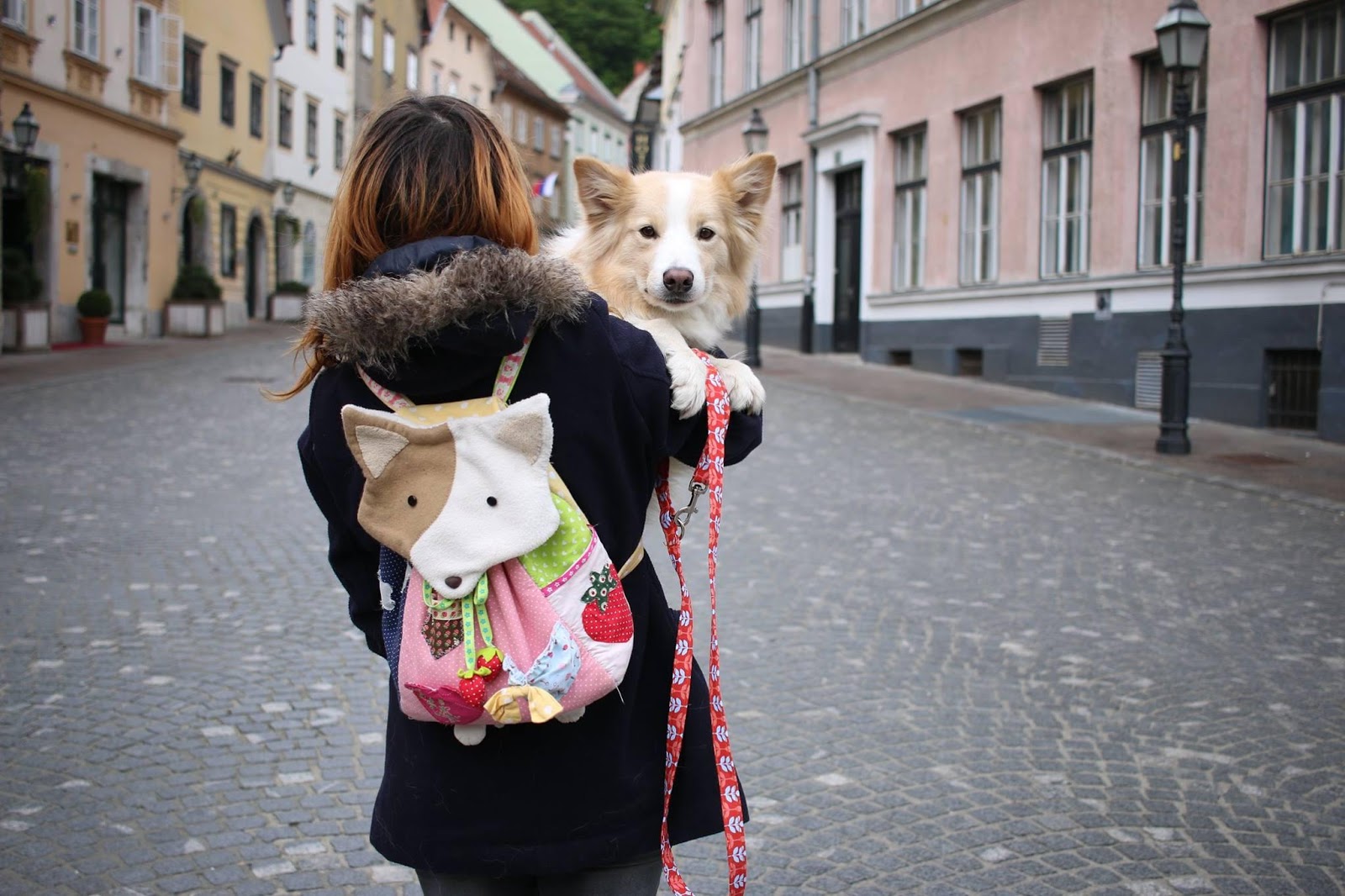 Are Dogs Allowed In Restaurants In Sweden