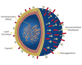 Sandra's blogging paradise ;)