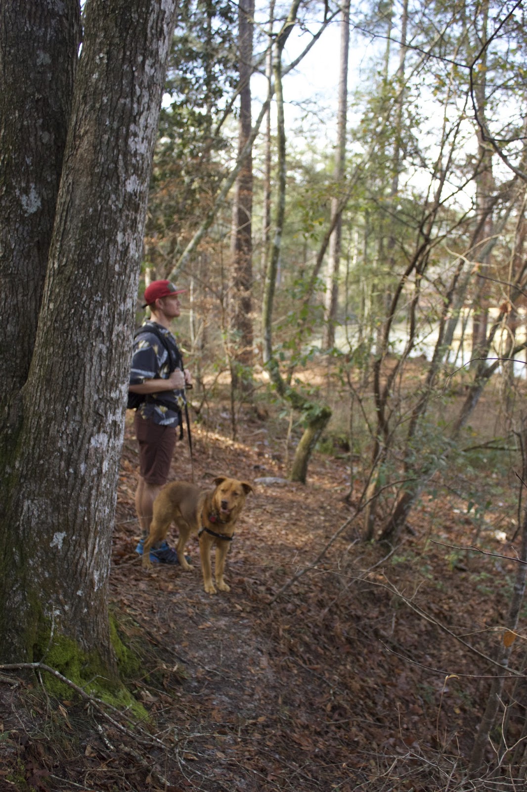 Homochitto National Forest + Jackson + Oxford // A Week in Mississippi