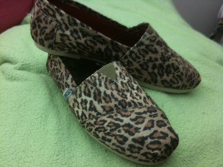 toms leopard print canvas