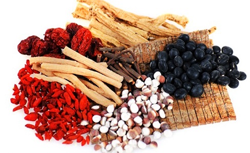 Xu thế sử dụng Thuốc đông y ngày càng phát triển Xu thế sử dụng Thuốc đông y ngày càng phát triển