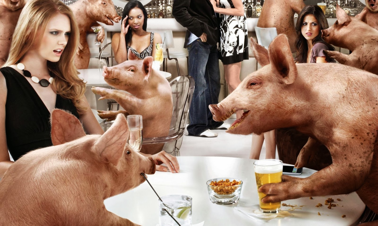 Среди свиней. Поросенок за столом. Свинья за столом. Свинья в баре.