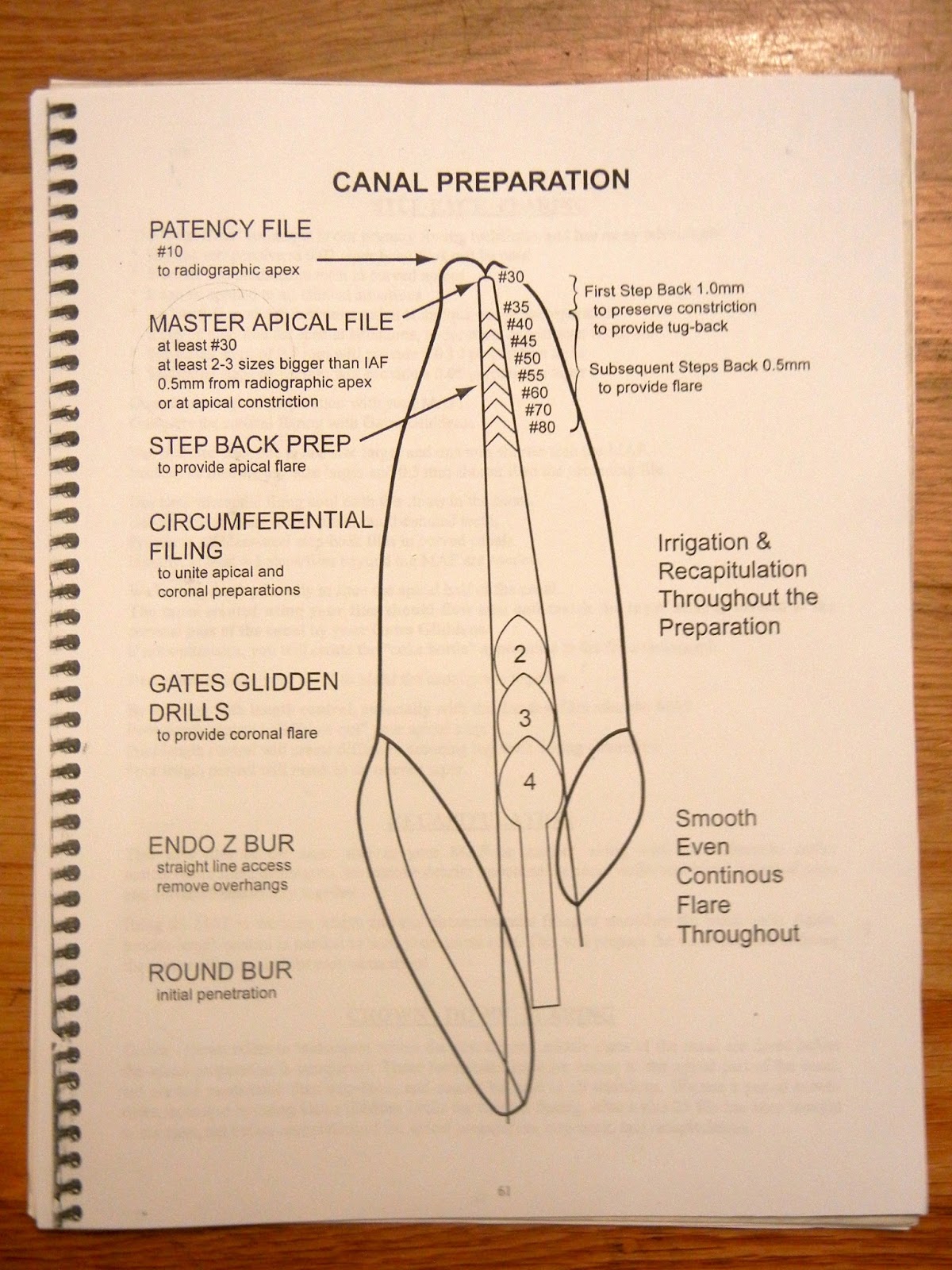 Root Canal Preparation