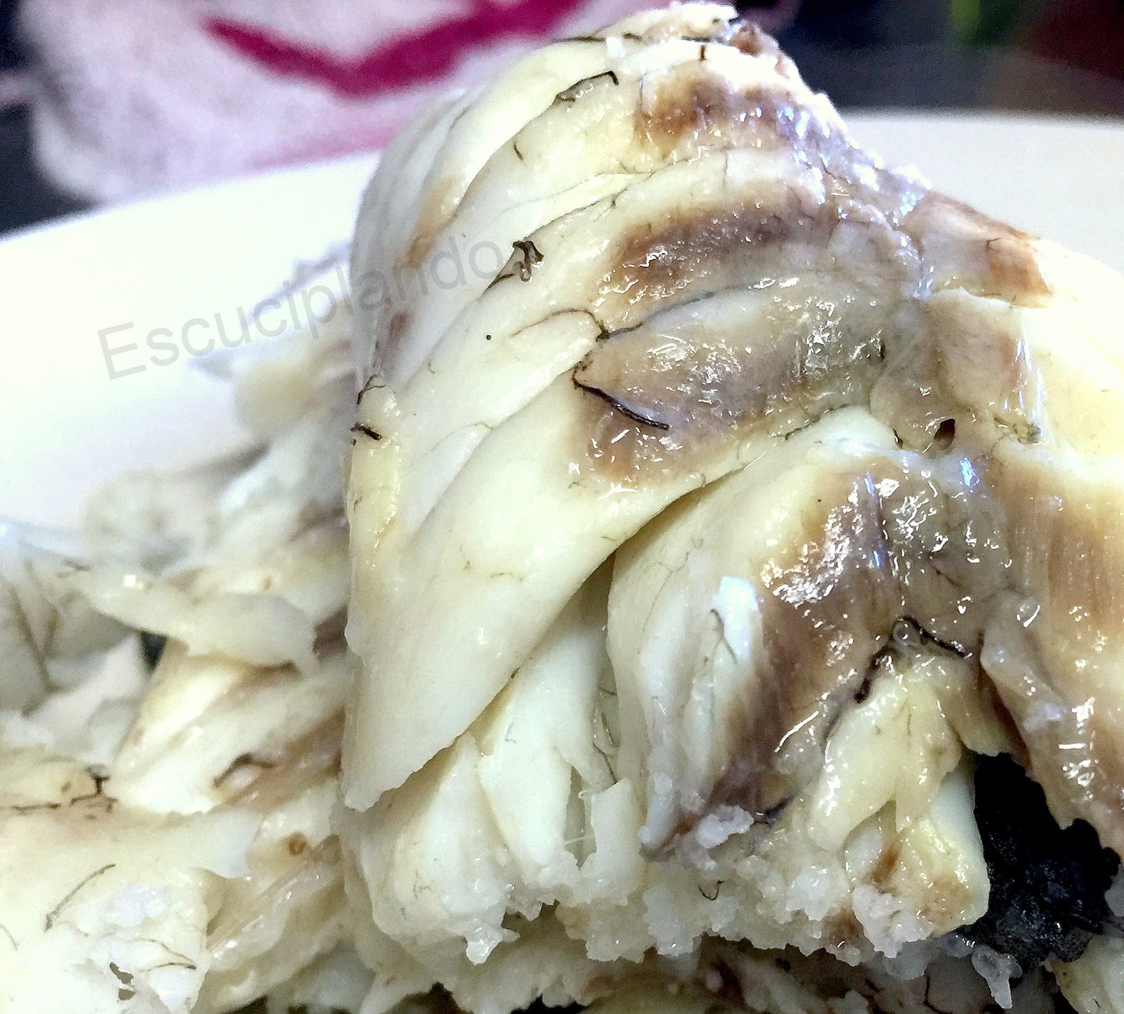 Escuciplando CORVINA A LA SAL