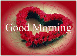 good morning msg,good morning hd,good morning flowers,good morning gif love,good morning wishes,good morning love,good morning hindi,good morning pic