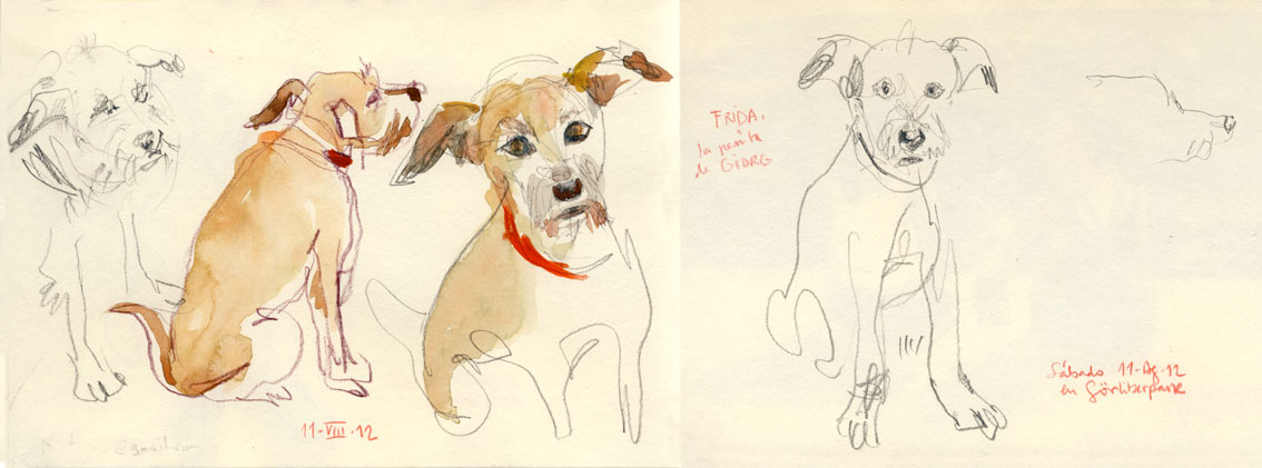 CATALINA August 2012