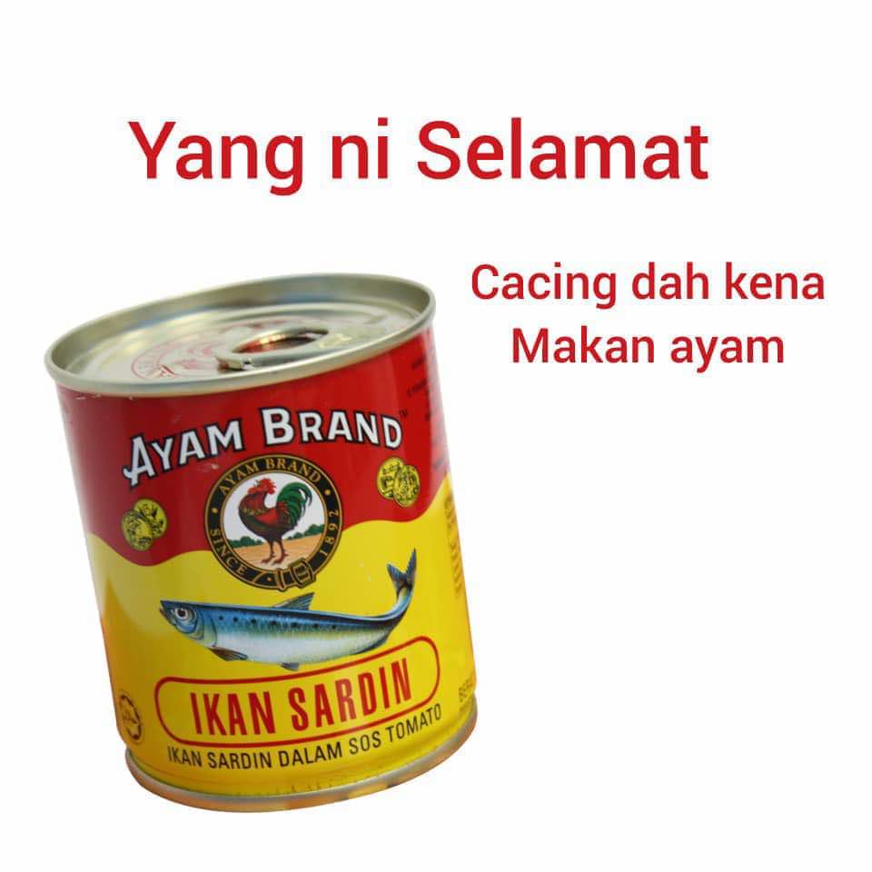 Ikan Sardin Dalam Tin Ada Cacing Iuzira Ikan Sardin Dalam Tin Ada Cacing Iuzira