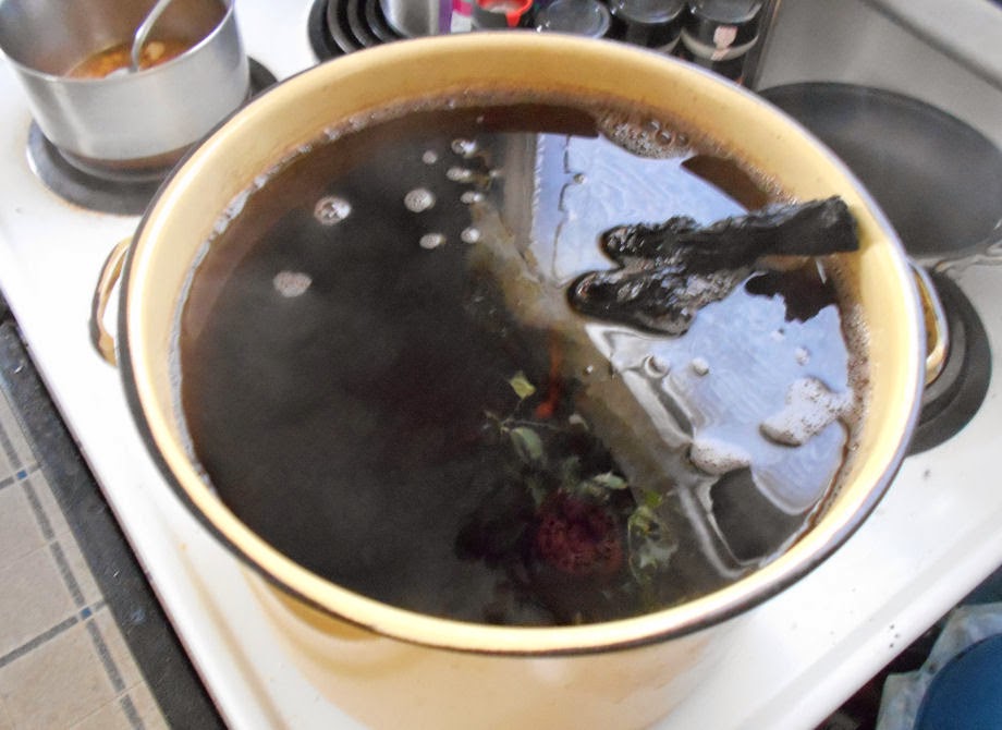 Little Patch o' Green Boiling Driftwood and a New Betta