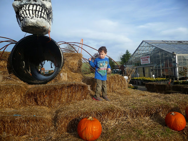 family fun pumpkin carving, pumpkin carving alternative for little kids, 