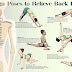 THe Best Yoga Poses You Can Do in 8 Minutes To Relieve Back Pain
