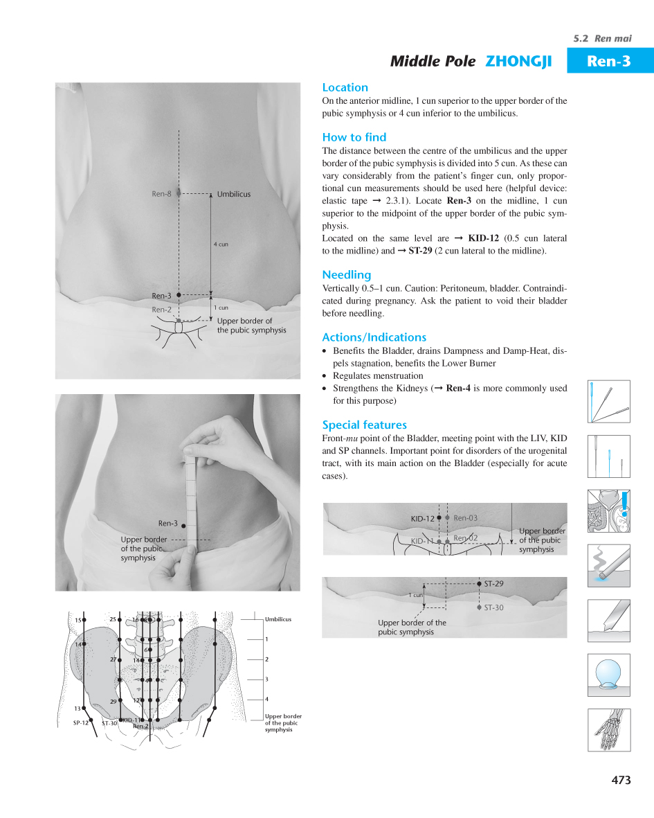 Acupuncture Masters Acupuncture Points Database Ren Channel