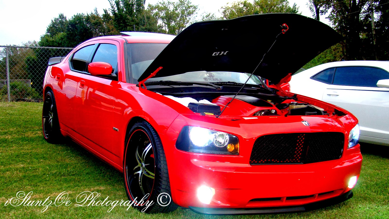 Z Tazer Dodge Charger