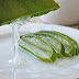 How To Use Aloe Vera For Scalp And Hair