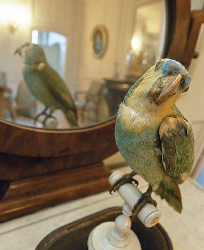 Λουλού, ο παπαγάλος | Gustave Flaubert, 1877 1 Λουλού, ο παπαγάλος | Gustave Flaubert, 1877 Λουλού, ο παπαγάλος | Gustave Flaubert, 1877