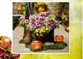 Image: Free Gardeners Idea Book