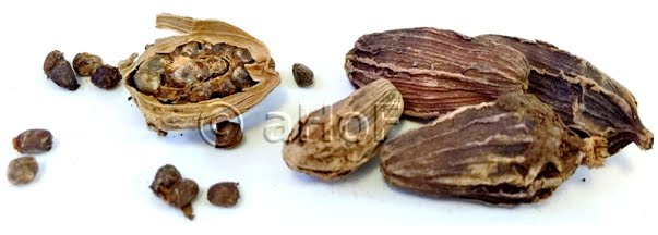 Black Cardamom, pods, seeds