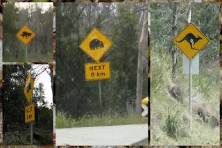 A word of caution for the Hobart to Port Arthur Drive: wildlife crossing street signs