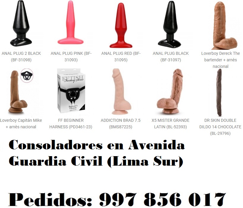 en Avenida Guardia Civil (Lima Sur)