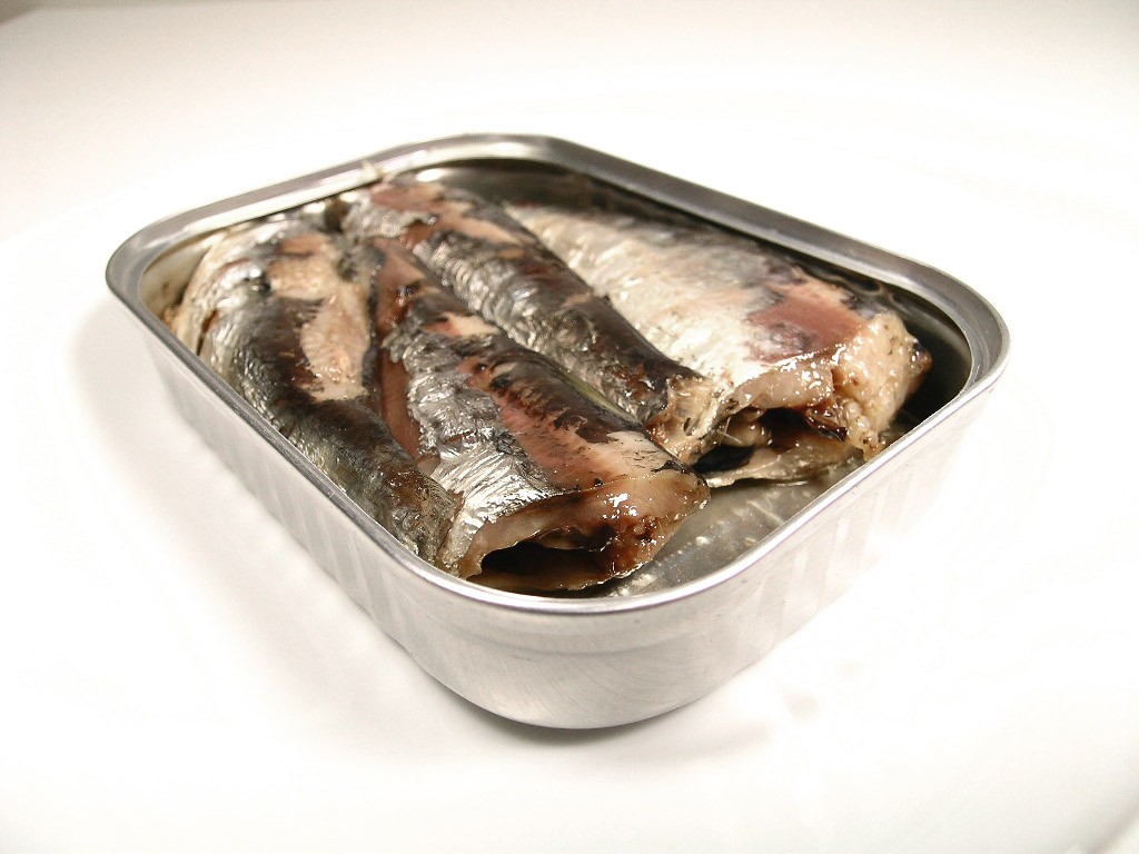 Protein in Sardines Fish and Other Considerations Frozen Sardine Fish