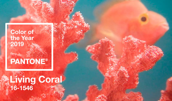 Cómo combinar el color del 2019: Living Coral