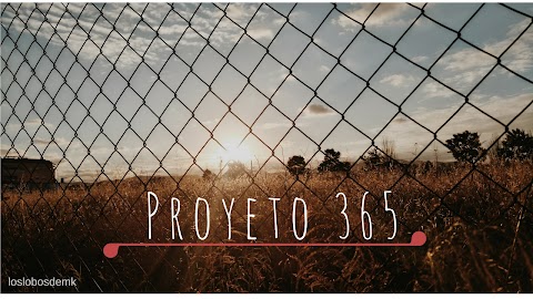proyecto 365 | días 20-42