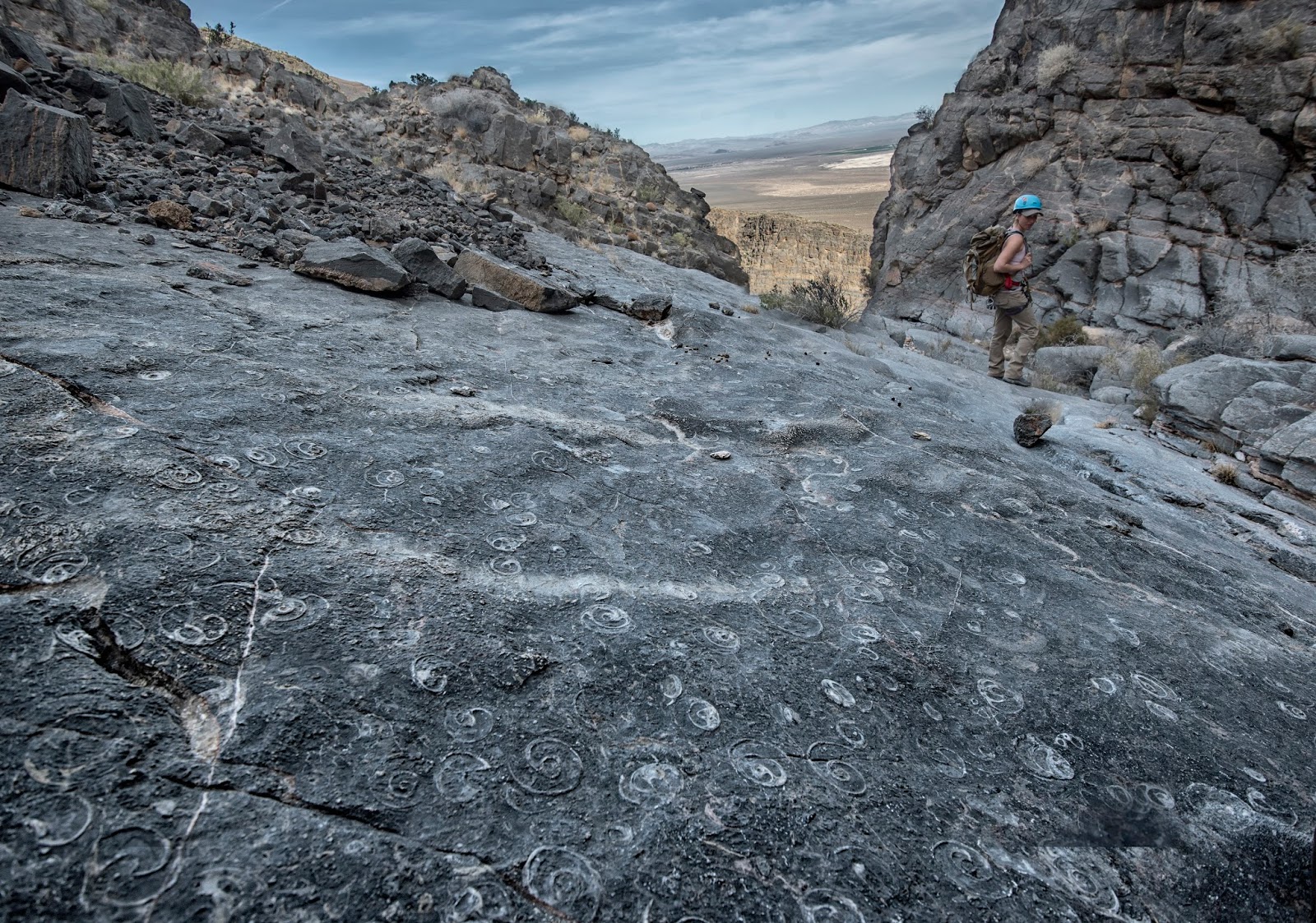 FOSSIL SNAIL CANYON, 3AIII. DEATH VALLEY NATIONAL PARK, CALIFORNIA