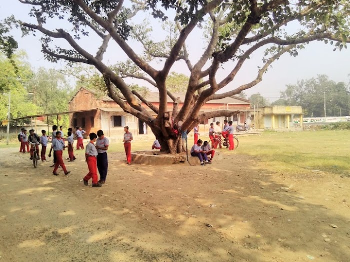 বর্তমান আর প্রাক্তনিদের মিলনে পালিত হবে স্কুলের সুবর্ণ জয়ন্তী বর্ষ