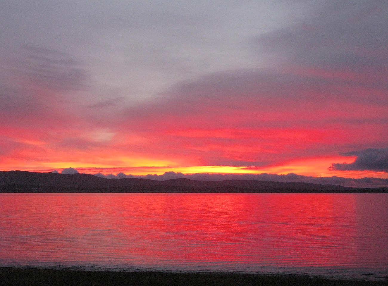 Islay Natural History Trust: Yet another dawn Islay Natural History Trust: Yet another dawn