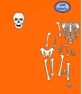 http://www.iboard.co.uk/iwb/Label-my-Body-and-Skeleton-36