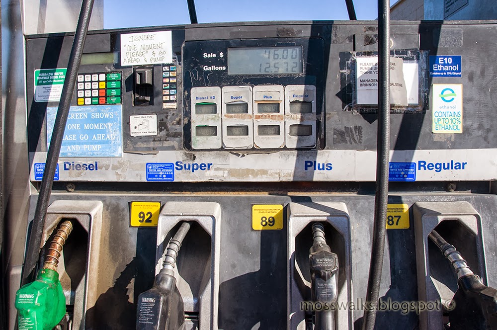 Walks with Moss Elbo Creek By Bus