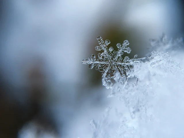 ¿Quieres-fotografiar-los-copos-de-nieve?