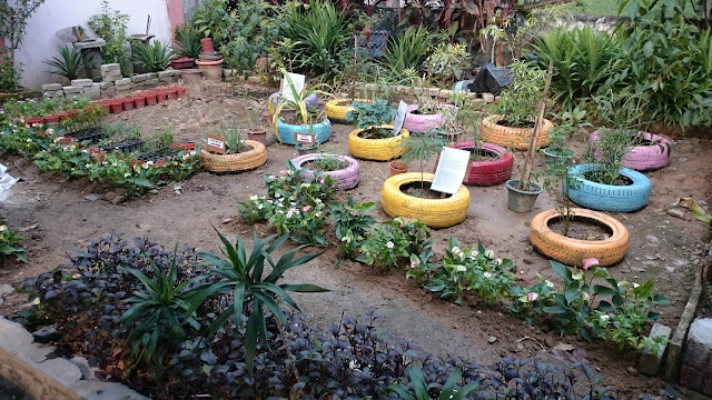 PUSAT SUMBER SEKOLAH: TAMAN HERBA