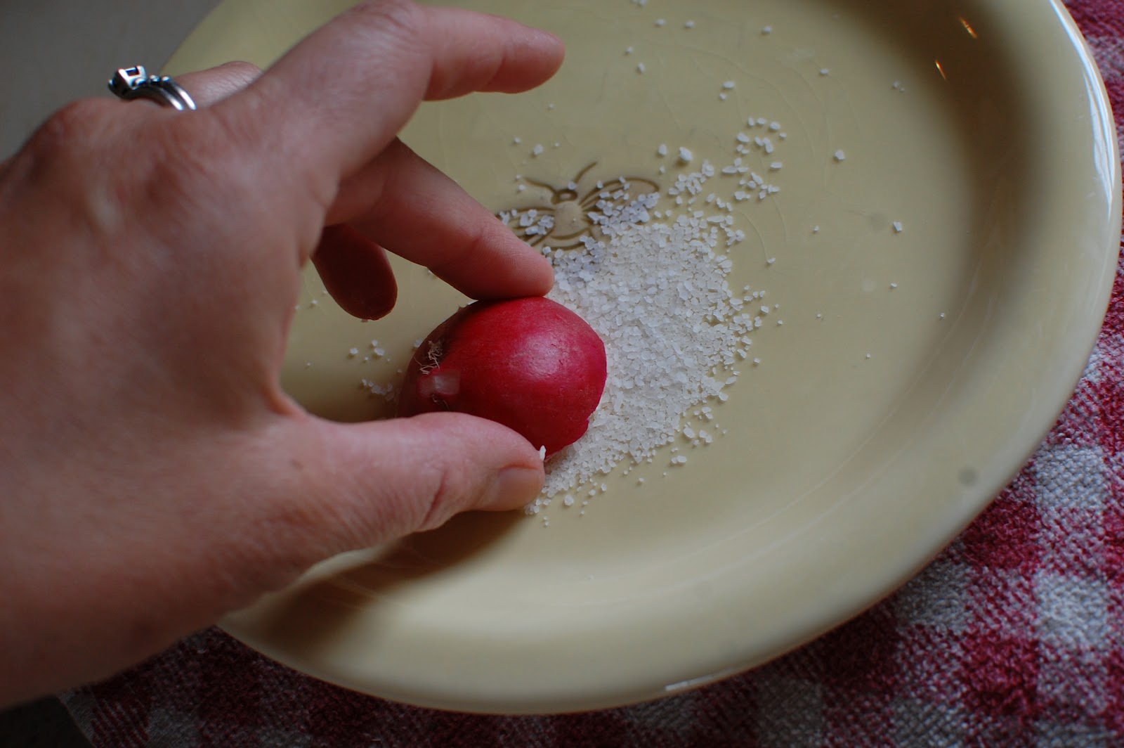 Bringing Home the Harvest What to do with radishes?