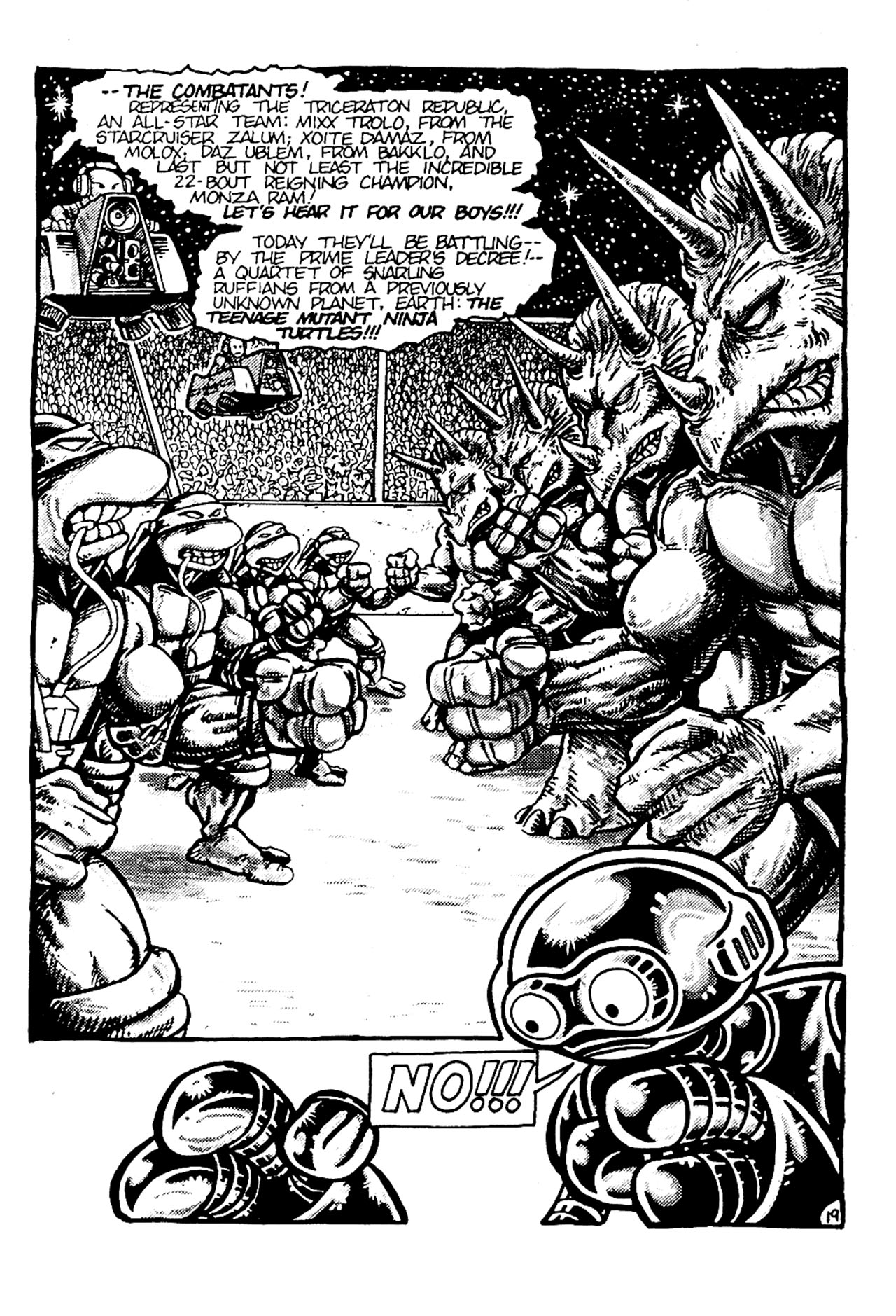 Read online Teenage Mutant Ninja Turtles (1984) comic -  Issue #6 - 21