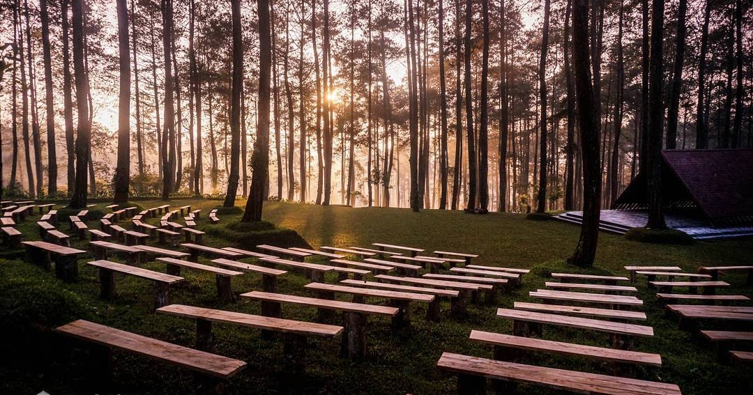 Lokasi Dan Tiket Masuk Orchid Forest Cikole Lembang Bandung
