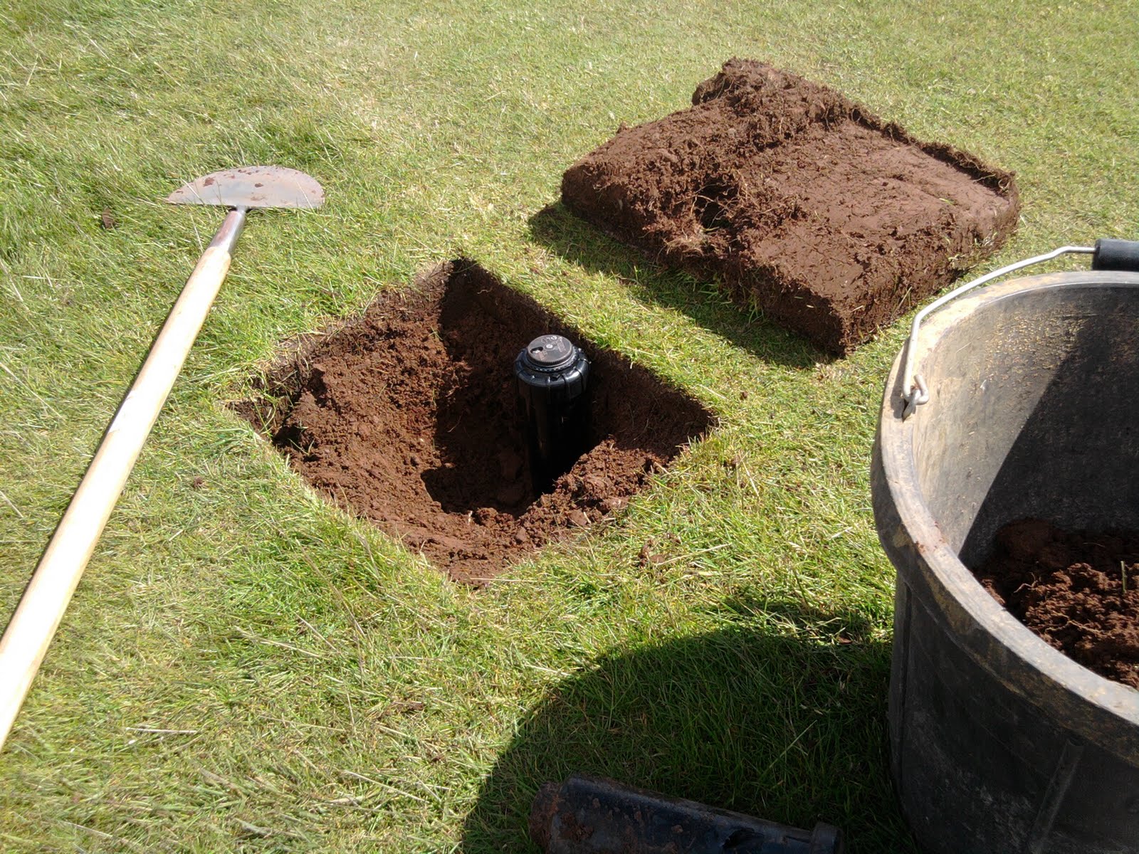 How To Raise Lawn Sprinkler Heads How To Adjust Sprinkler Heads Step