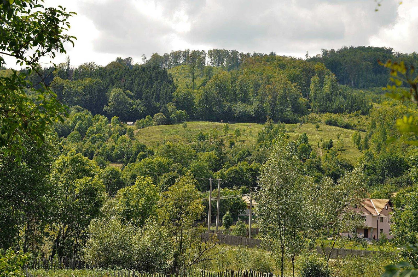 Land for sale in Romania 10000 square meters, 10 euro/sqm