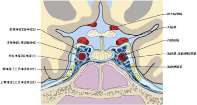 どのように扱われますか?
