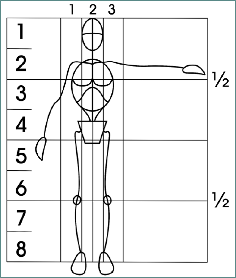 Схема художника. Скелет человека пропорции.