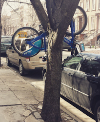 Check out the evergrowing, sometimes bizarre collection of Citi Bike pics on Instagram