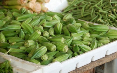 All-Natural Okra Water Can Be Used To Counter Diabetes! Read Here! All-Natural Okra Water Can Be Used To Counter Diabetes! Read Here!
