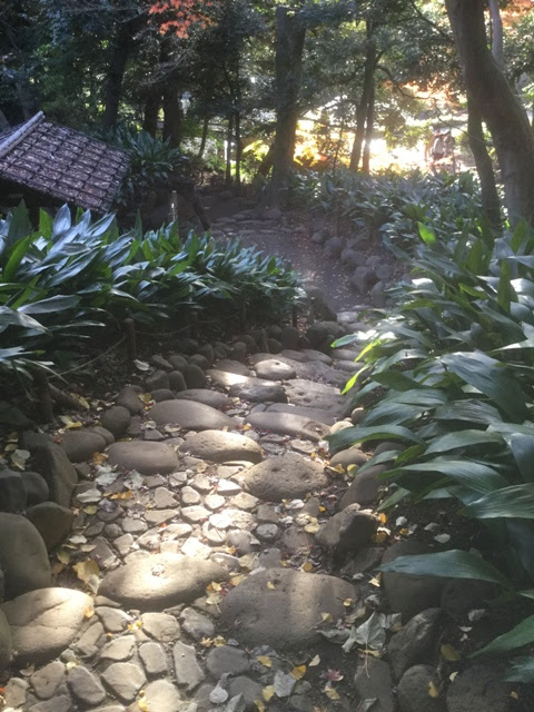 娘惹的雪泥鸿爪 旅居东京手册 28 旧古河庭園kyu Furukawa Gardens之枫红